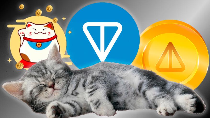Catizen — «залипательная» игра в Telegram, в которую проинвестировал TON Foundatoin
